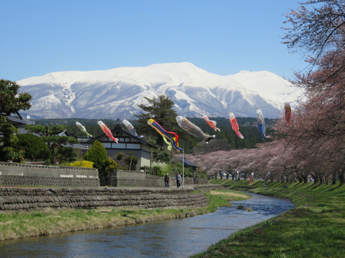 Snsフォトコンテスト 教えたい春の庄内 旅の特集 やまがた庄内観光サイト 山形県庄内エリアの観光 旅行情報