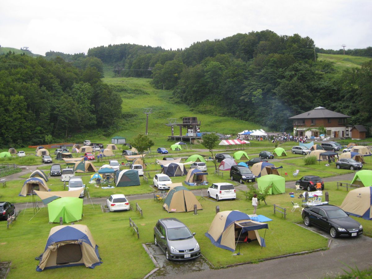 広々とした全面芝でゆったりキャンプ