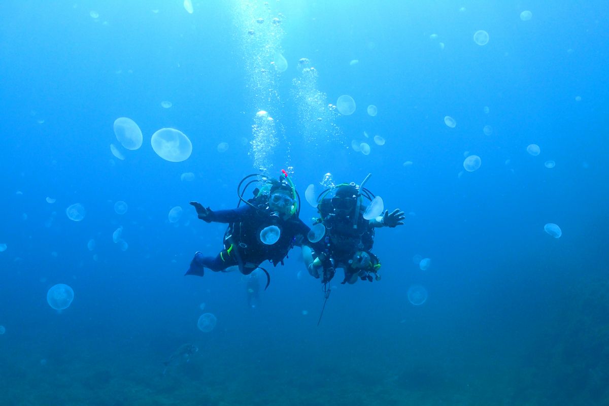  海中で魚と遭遇！（写真提供：アーバンスポーツ）